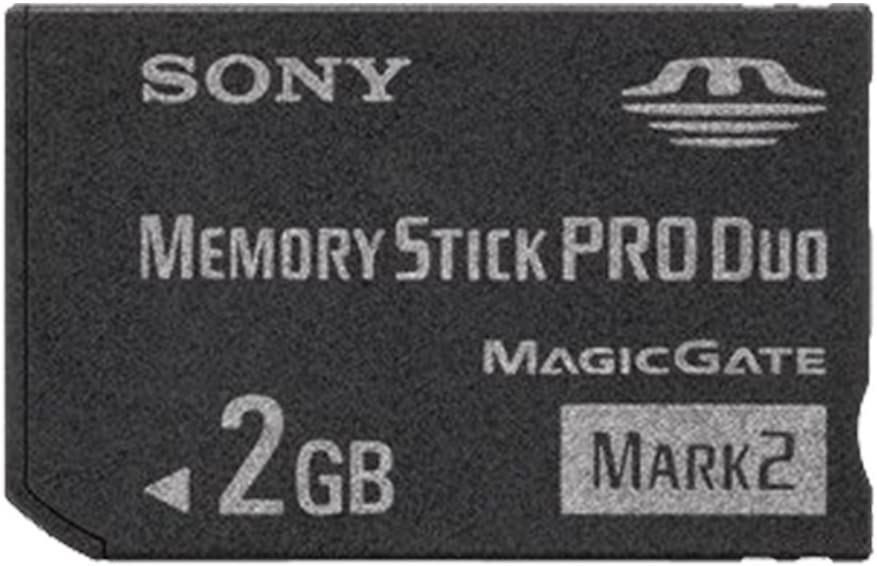 Carte mémoire Sony 2GB